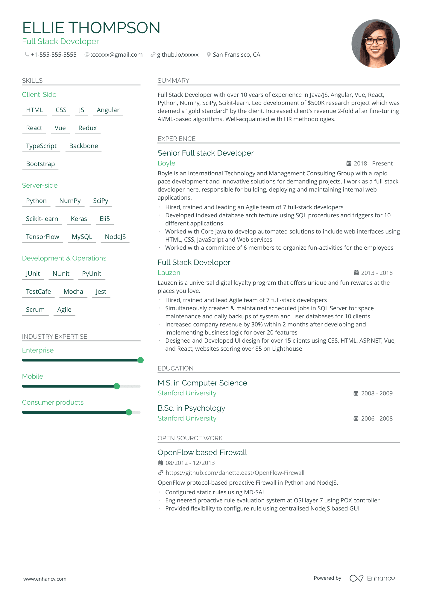 CV Template 2
